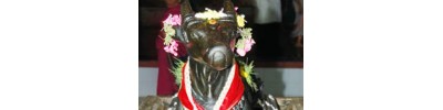 அழகப்பன் நகர் 